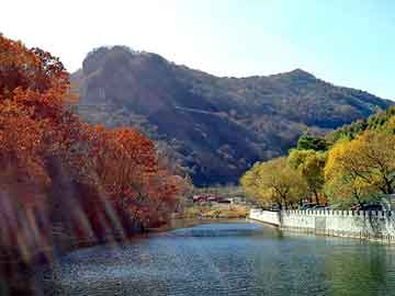 新澳天天开奖资料大全旅游团，骐达油耗